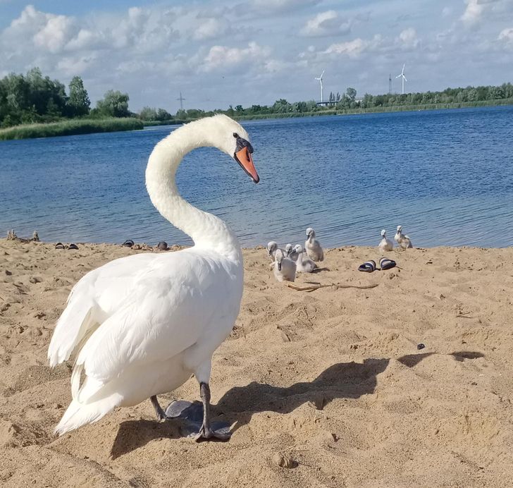 0353d65f69971cc9337b784216