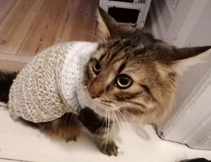 03548c59bab2d1990b7899b1e9 03548c59bab2d1990b7899b1e9