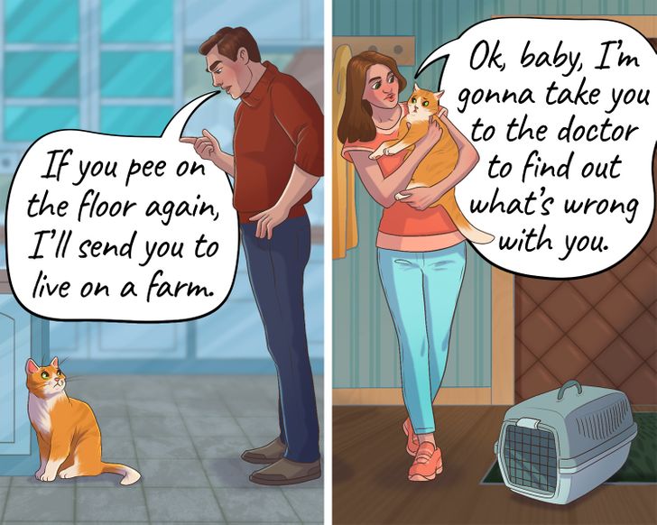 035a475a618102d610a78f09b7