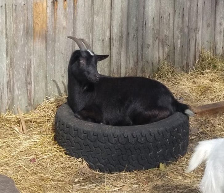 035c675c4ca7decd8b3bbbe385