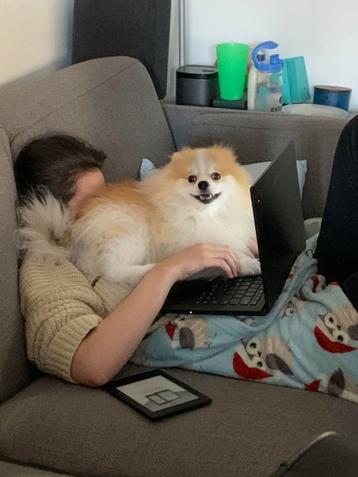 0361405adabf6dc2b0d5d123f5