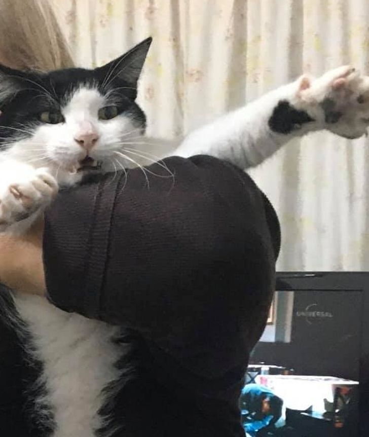 036e4c5d33a3eb71d7386e5a20