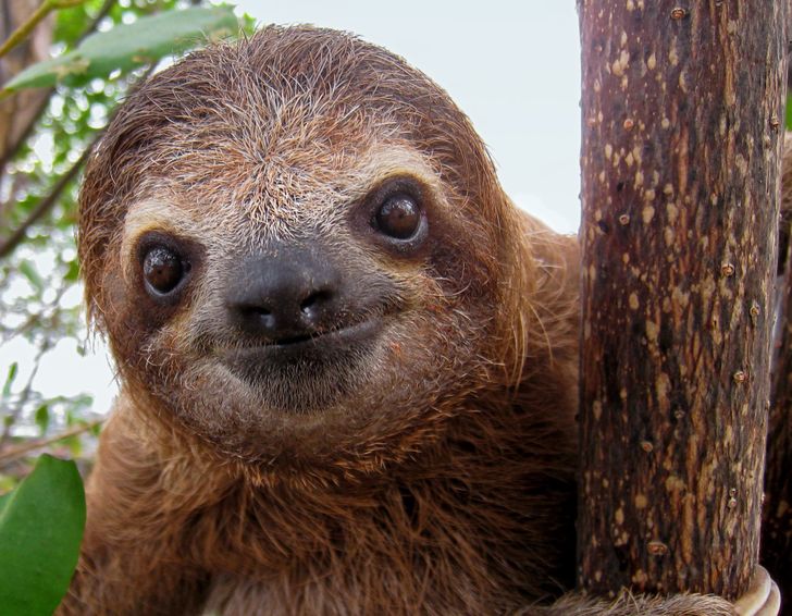 03781e5396851913c1e8ac1246