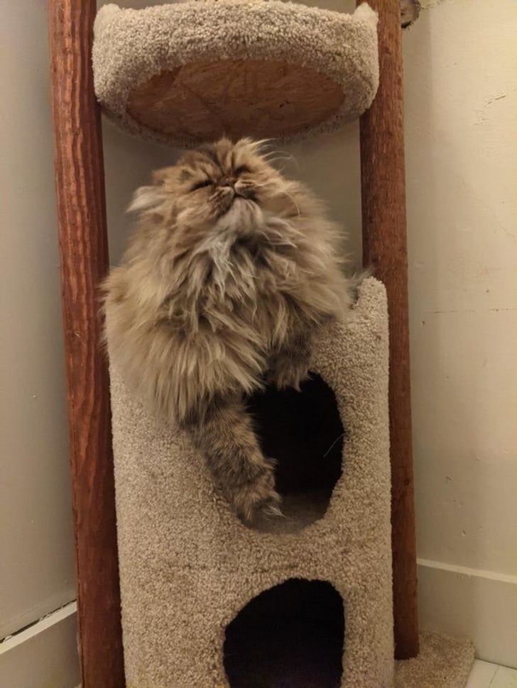 037a205c6695f4cf0965d64b07