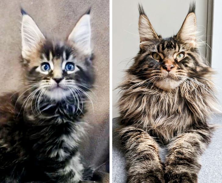 037db55212bde0484eda29fbac