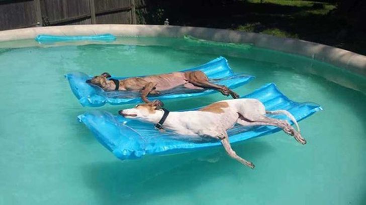 037e3a5f5cb1972dc597320504