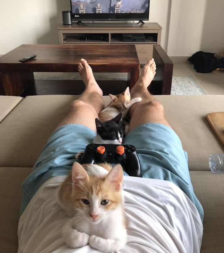 0382875c5ea11f099a8a34b4b1