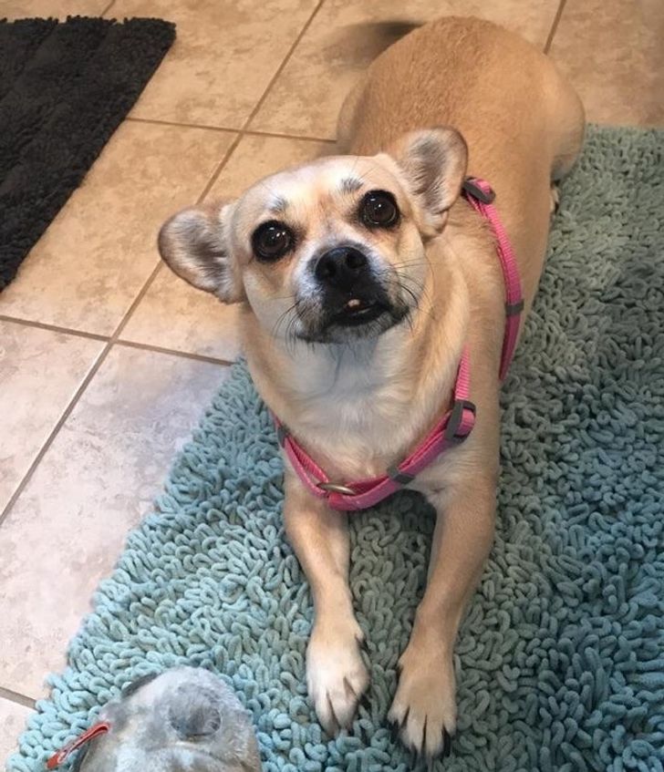 03834c5c0d9a5a6307d49ec629