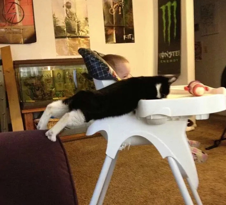 03889b557fa7a4918ad7010141 03889b557fa7a4918ad7010141