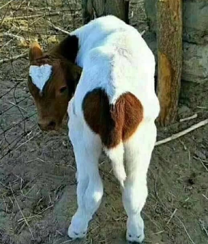 038e965405a6cf1572cd299079