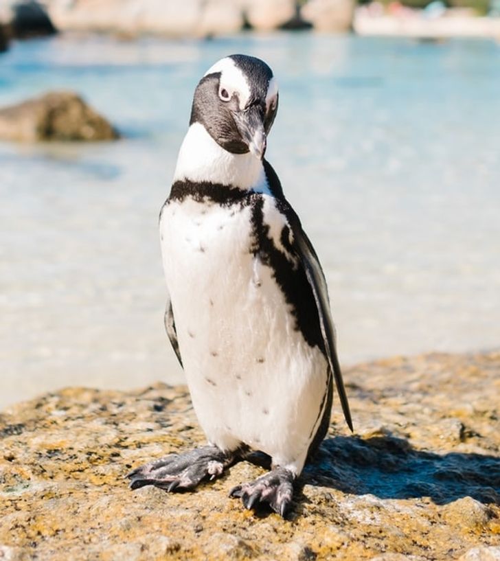 03904d531d8cccdf54fcd7705f