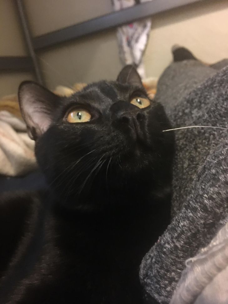 0396e9519babccbda36e276a3e