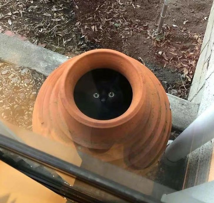 039ec95dcea45b214e55a76d5c 039ec95dcea45b214e55a76d5c