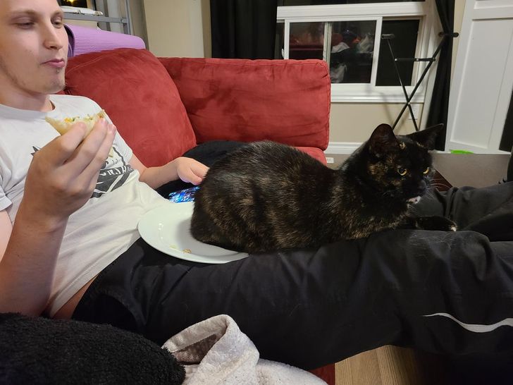 03a6e75697af7c0f6018e7e0cd