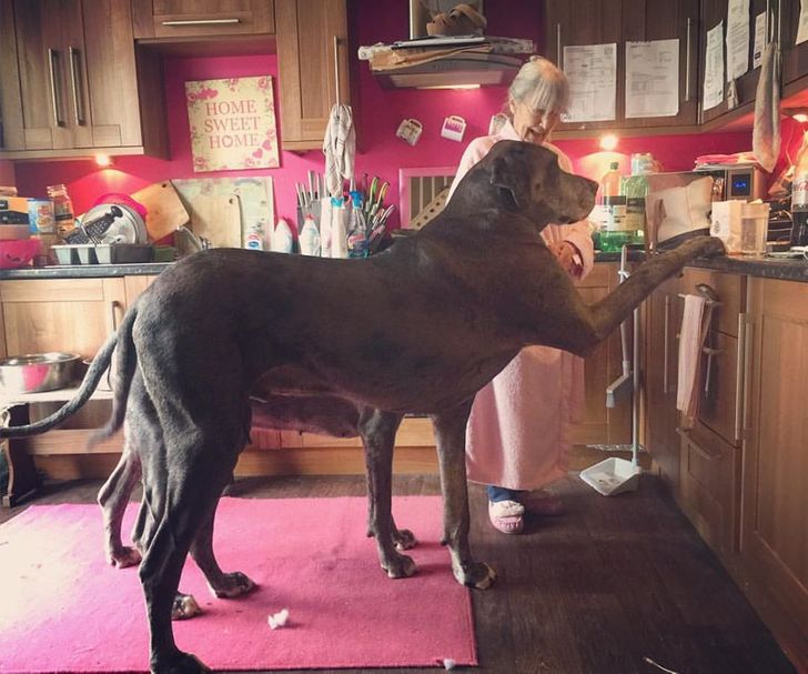 03aac550f9a4a99021242134b8