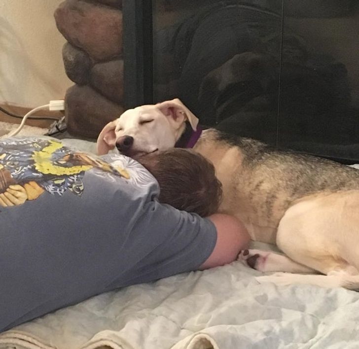 03abb95264b89dea48fdea7844