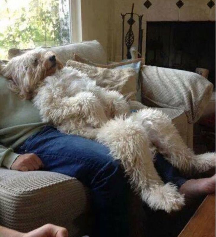 03ae3d5792b1b950dc660bd24a