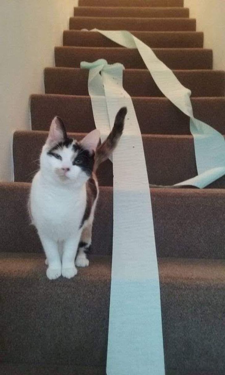 03b01553b580a6a82582408d3b