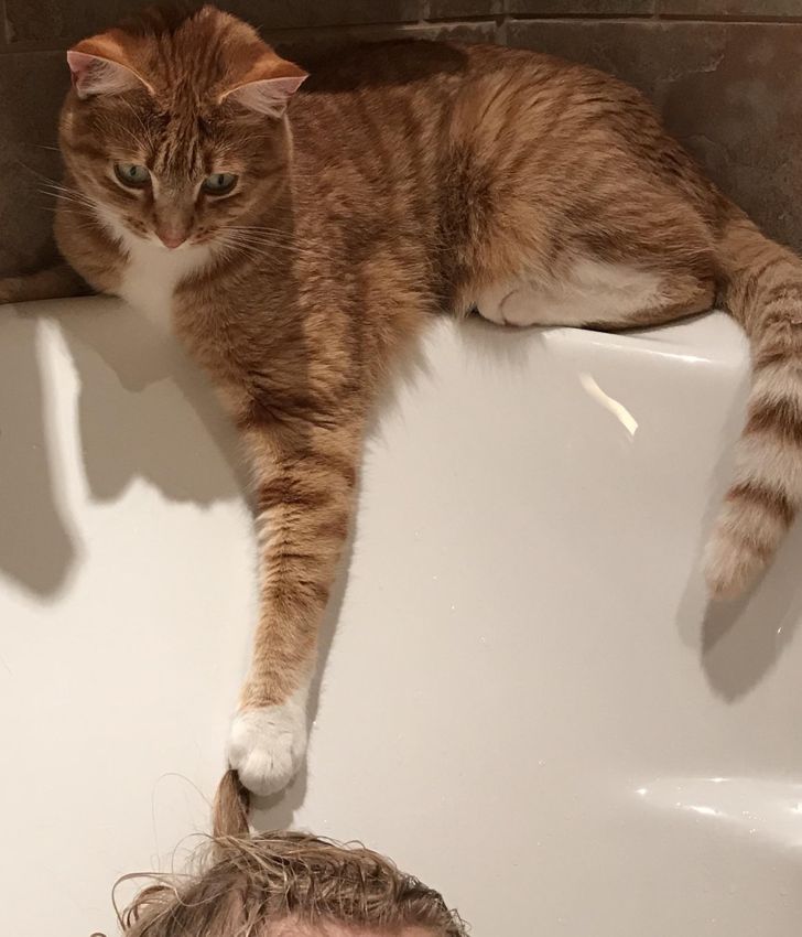 03b4915b4eb5c354fc6c46ea79