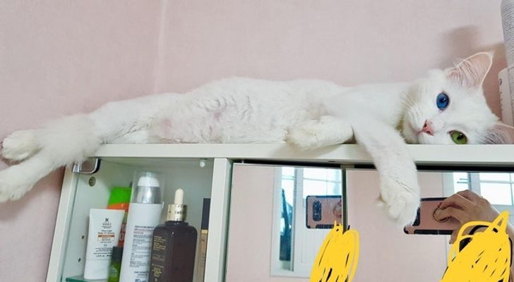 03bb23550abb8efb13818664e6