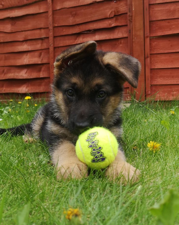 03c3f65d478935cf08edb58c48 03c3f65d478935cf08edb58c48