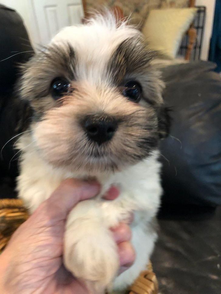 03c4ac56259ba7ac32d7b37000