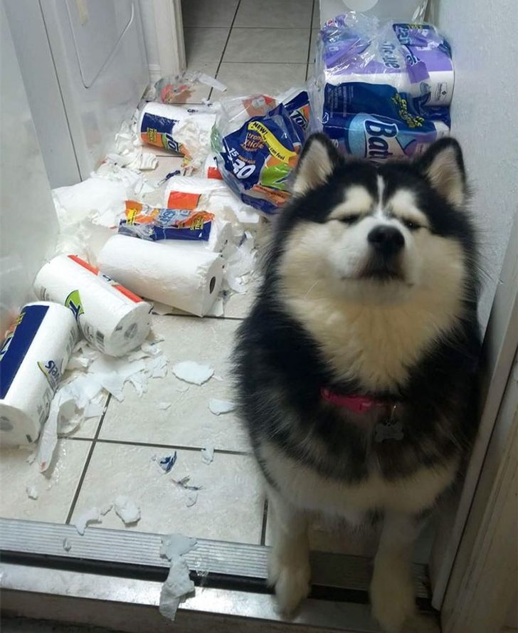 03cba45ab0b6fbbf541bcfea15