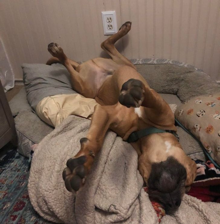 03cf845bcf9260614bb7cbad7a