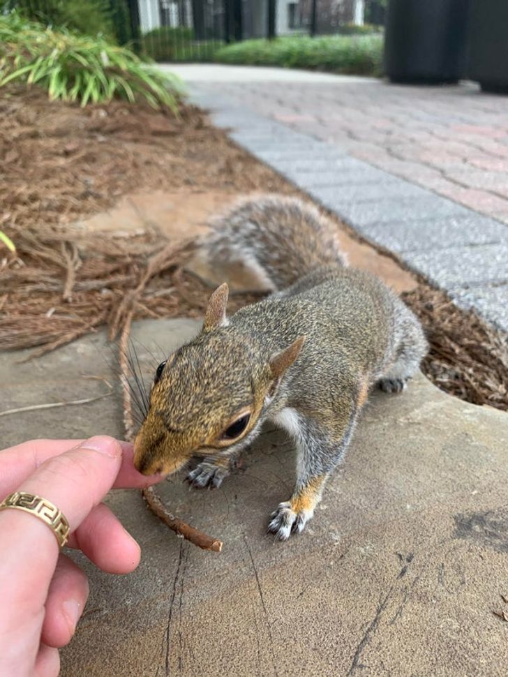 03d9de57a39de3cdcb06f4f36a