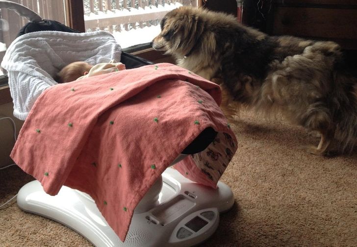 03e6f352a6b0f2f67776e540f7