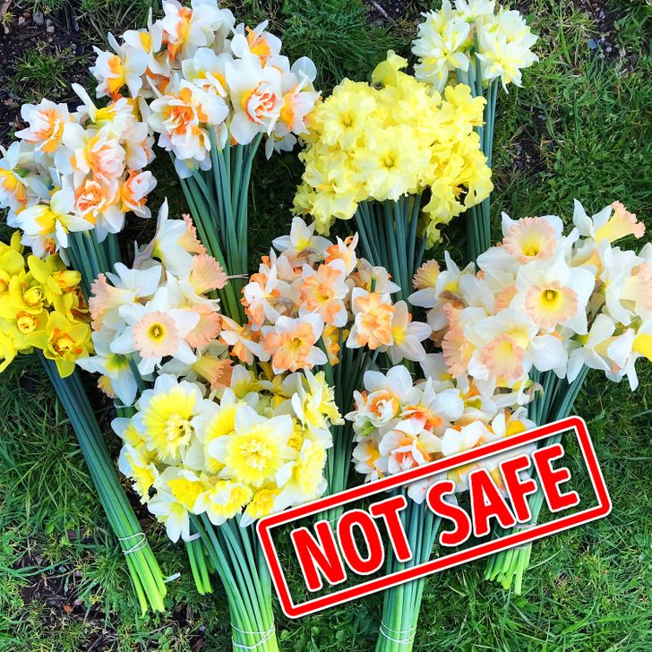 03ea735840a421380389d9ec7a