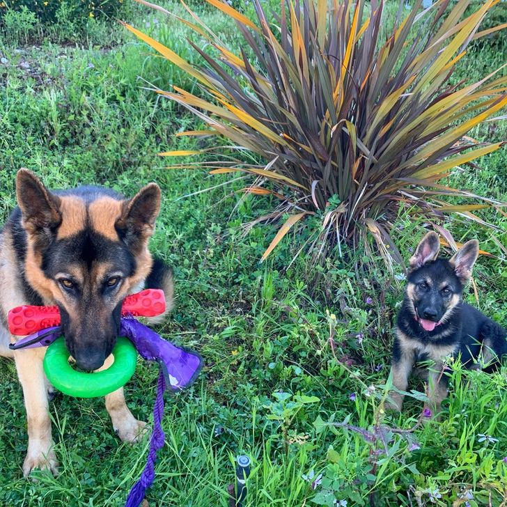 03f6225288a6bf6c8e799c033f