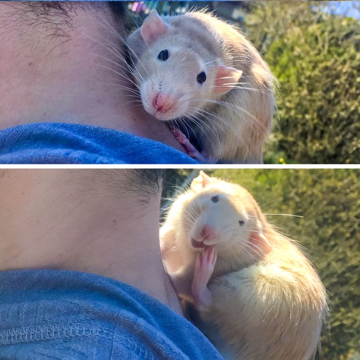 040c045928a3fbc49751f5961b