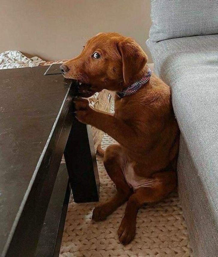 040d035096aaddf367402ae22d