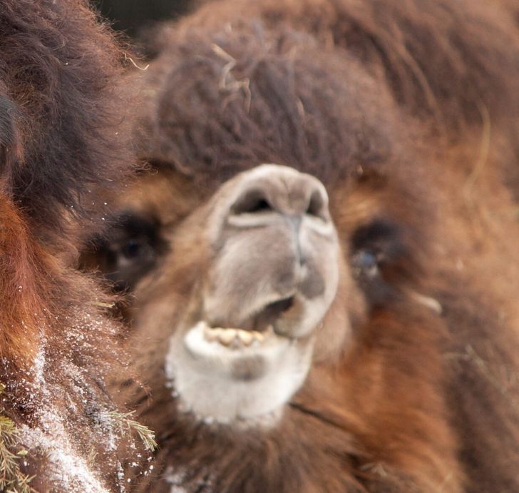 040f185717b502ef5fe7854b5c