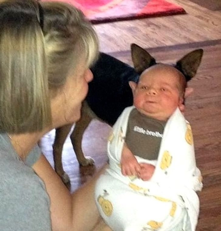 0414bb59029f55853b71e7cd9c