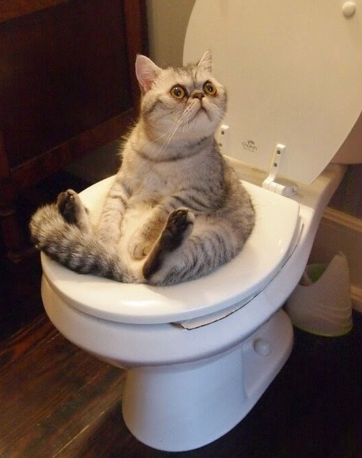 041a06525e89da153bcf4f0190