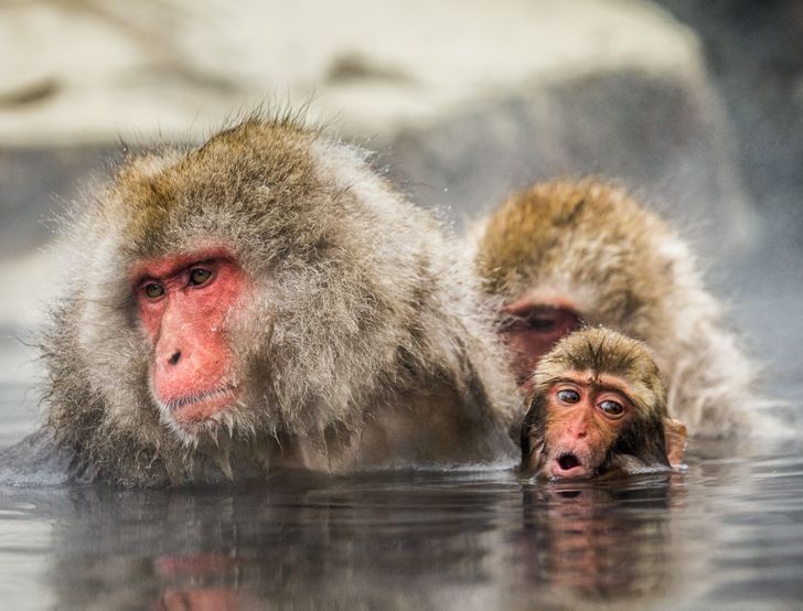 041df1584ebb6b970c04cc30ff