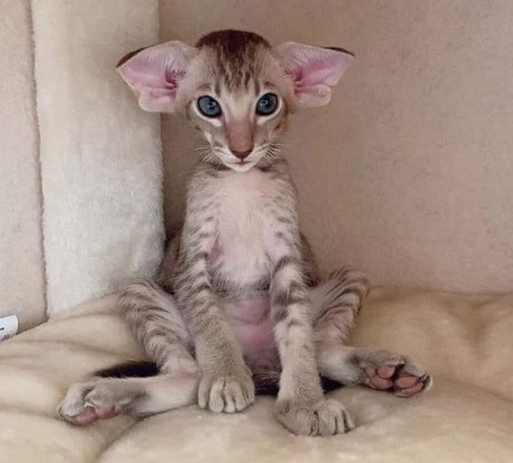 0423fa5c419ec2c56cfc00f0c2