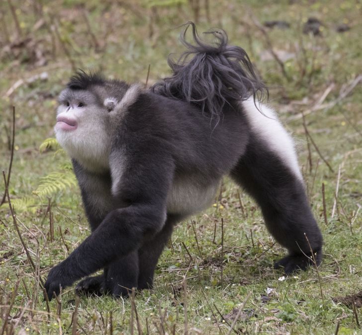 0424395c88bd0f291348087269