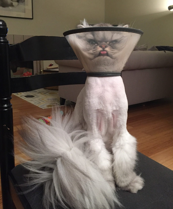 042a3f5417a9bd083eb3d94e05