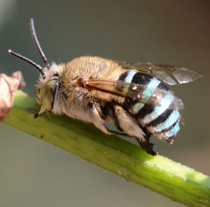 042b0b58b6bbf9b6239159af86