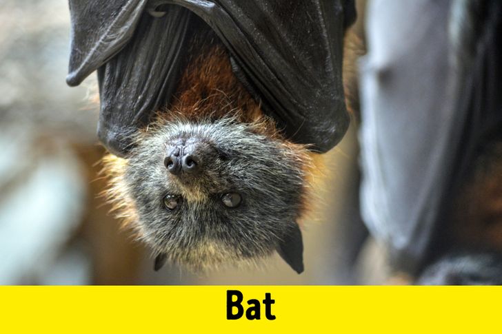 042e0857fbbab70f750f62a6e9