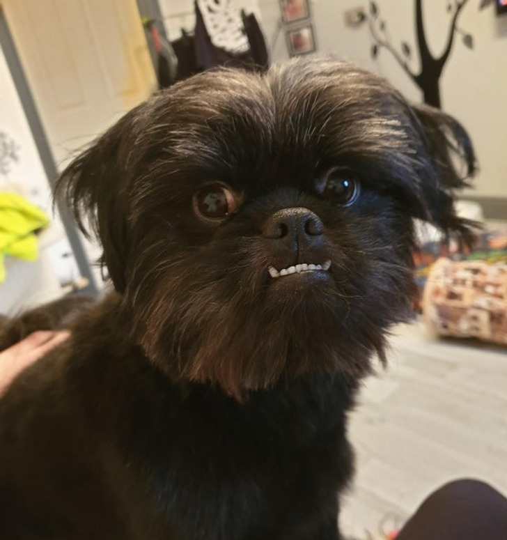 042ef3545baaa102beaf864c8b