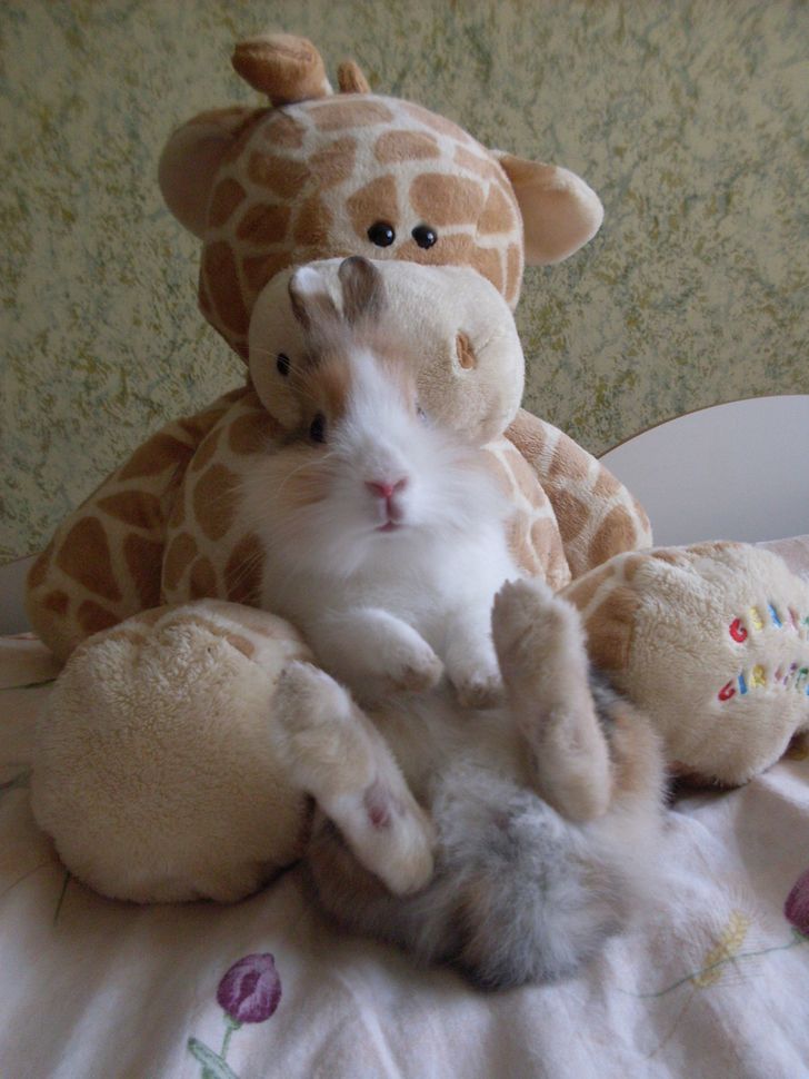 043dc2590f8e99a7c3920a99f5