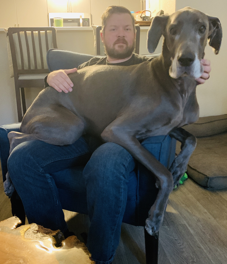 04435a568b968cb2bf277f4a2d