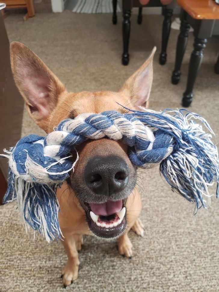 044bfe55a49801f4c4f7ae06f5