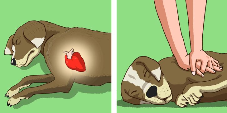 044cf6529090adda73cd332c67