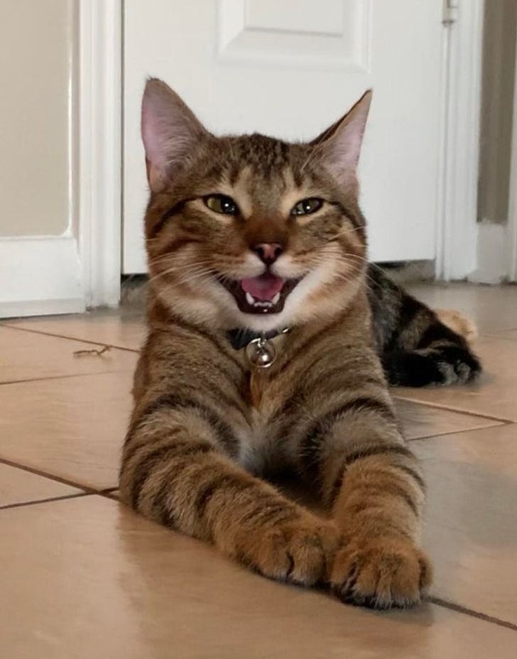 044e955d16b7030ad71b155697