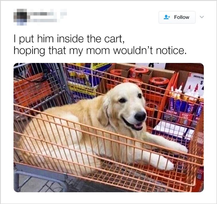 04557c5e2bacaf11f08dc6ece1